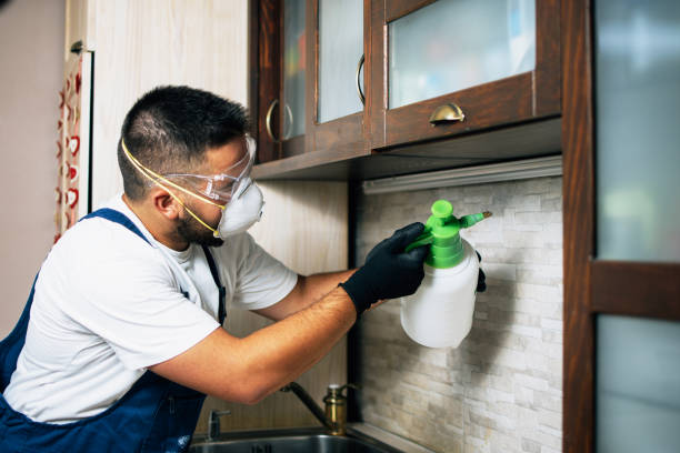 Best Pest Prevention Services  in Loxahatchee Groves, FL