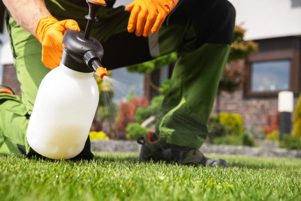 Best Pest Prevention Services  in Loxahatchee Groves, FL