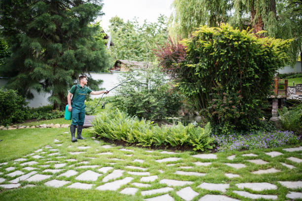 Best Mosquito Control Services  in Loxahatchee Groves, FL