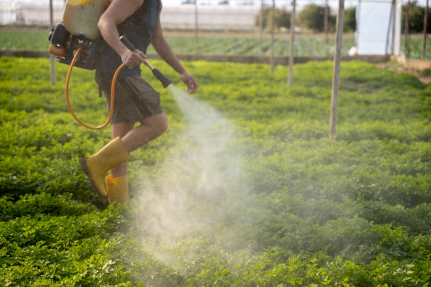Best Cockroach Control Services  in Loxahatchee Groves, FL