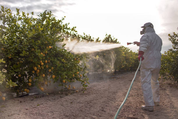 Best Best Pest Control Companies  in Loxahatchee Groves, FL