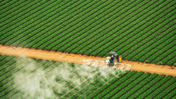 Best Emergency Pest Control  in Loxahatchee Groves, FL