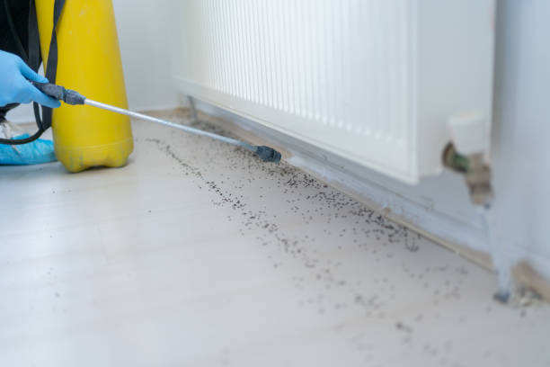 Best Flea Control Services  in Loxahatchee Groves, FL