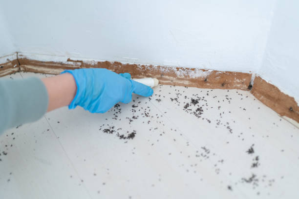 Trusted Loxahatchee Groves, FL Pest Control Experts